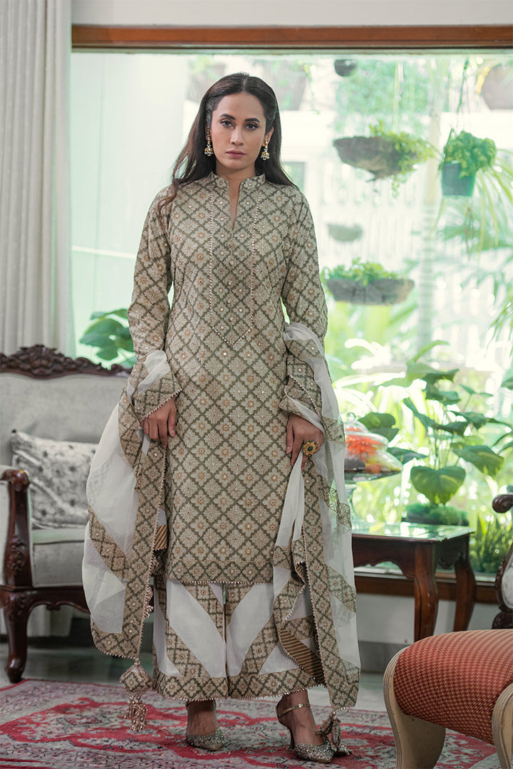 Zaytoon | 3 Piece Kurta Plazzo Suit
