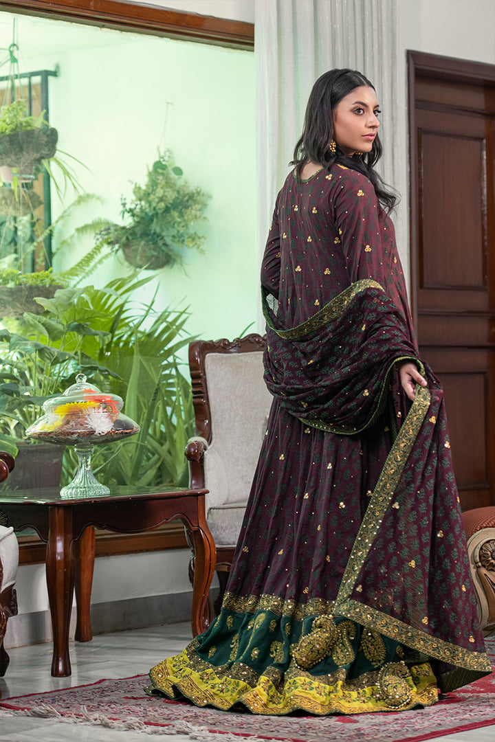 Parisa | 3 Piece Anarkali Suit