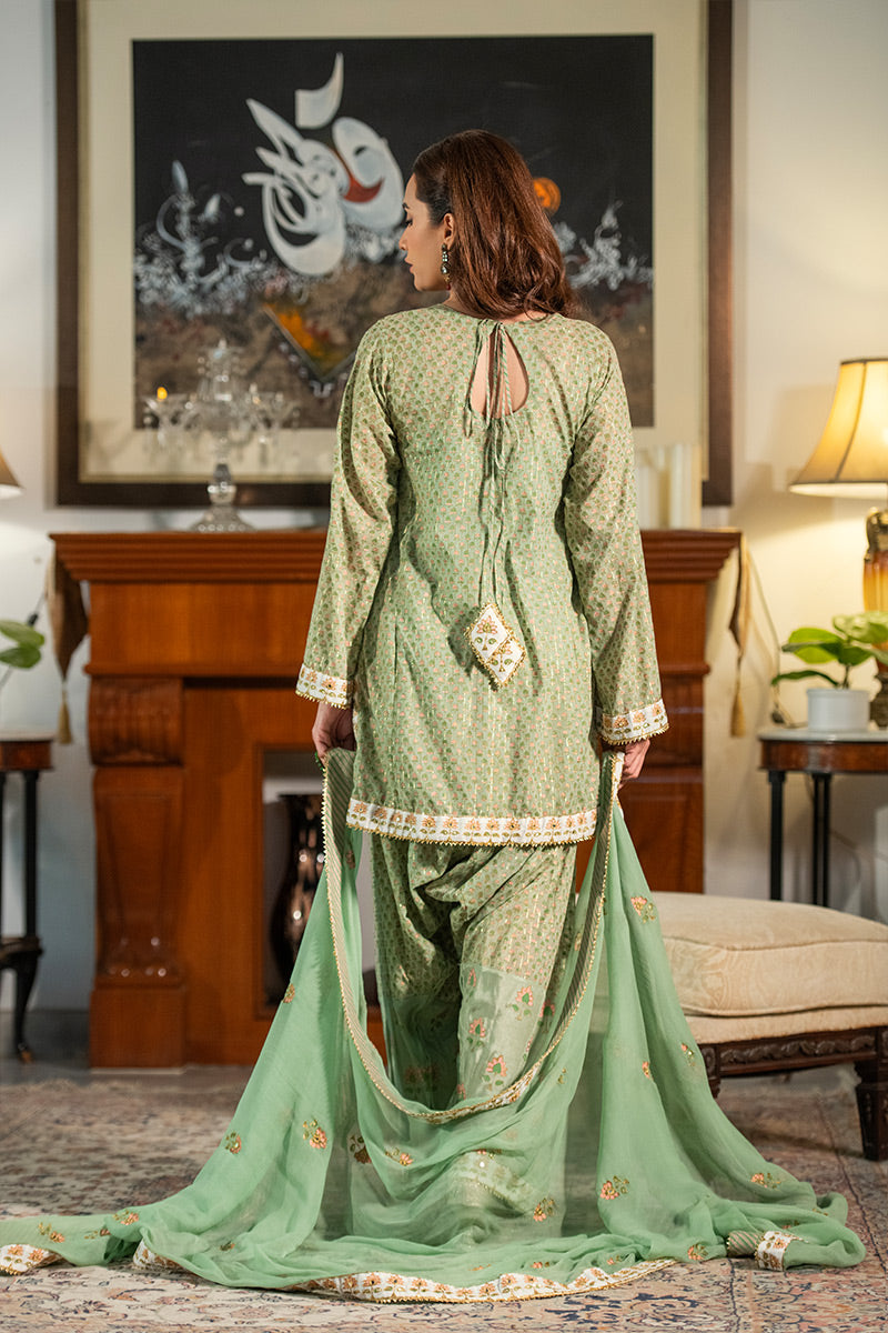 Dilruba | 3 Piece Kurta and Farshi Shalwar