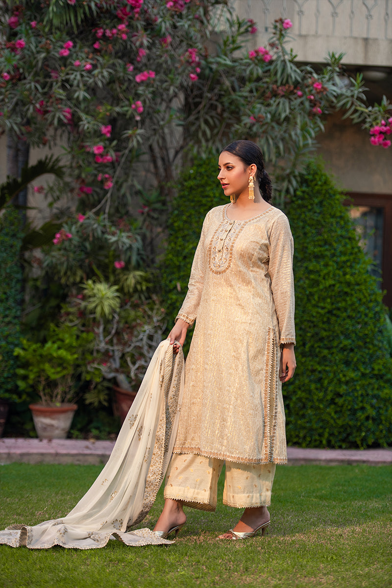 Soraya | 3 Piece Kameez Plazzo Suit