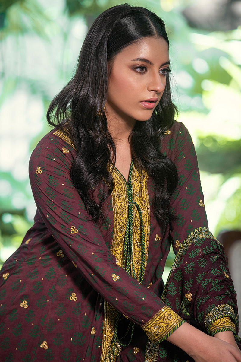 Parisa | 3 Piece Anarkali Suit