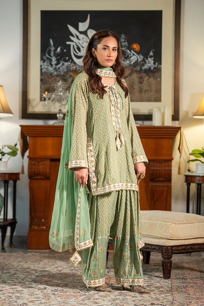 Dilruba | 3 Piece Kurta and Farshi Shalwar