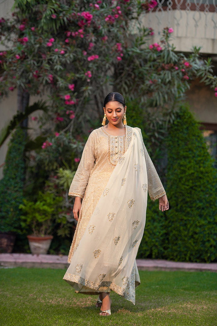 Soraya | 3 Piece Kameez Plazzo Suit