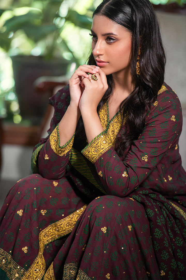 Parisa | 3 Piece Anarkali Suit