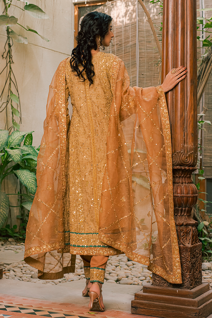 Coffee Brown Hand Blocked Cotton Lawn Angarkha with Aari, Sequins & Mirror Work